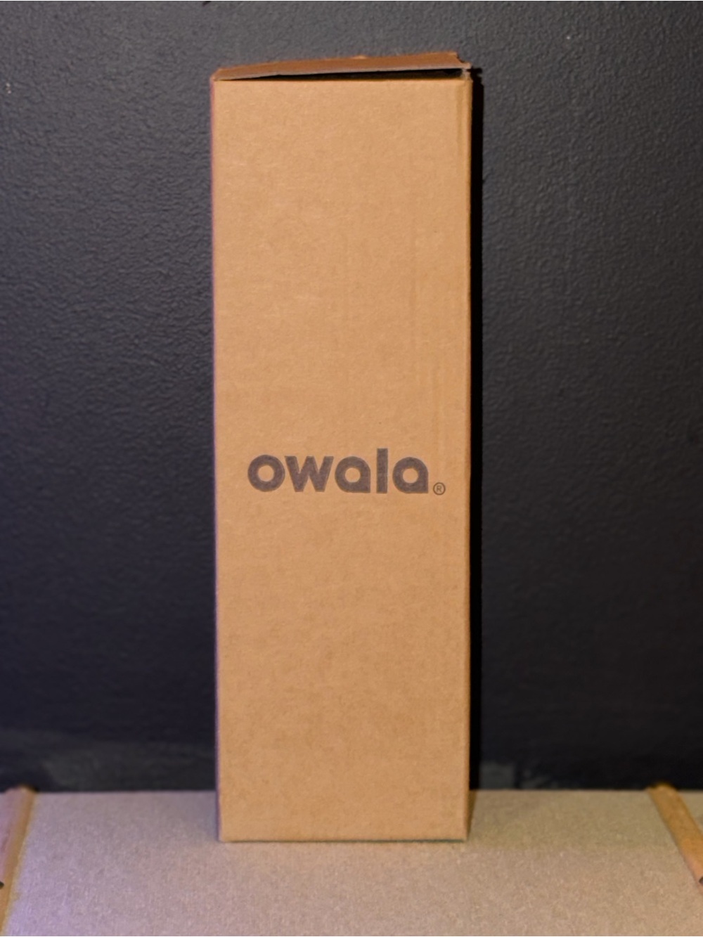 Owala Sage Green Insulated Bottle with Pink Accent - Travel Thermos 32oz